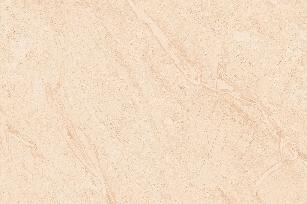 FAIENCE - 30X60 - C/0.9M² - BELLUVERLA