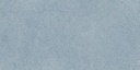 FAIENCE - 30X60 - C/0.9M² - PRUTEA DARK